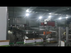 Karton mühürleme makinesi, robot paletleme makinesi