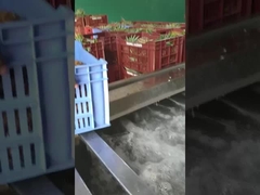 Balonlu meyve / sebze yıkama makinesi, üretim kapasitesi özelleştirilebilir